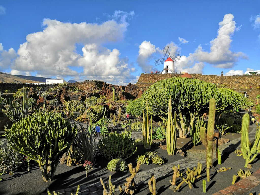Où partir en voyage en mars ? 8 Image îles canaries destination soleil mars